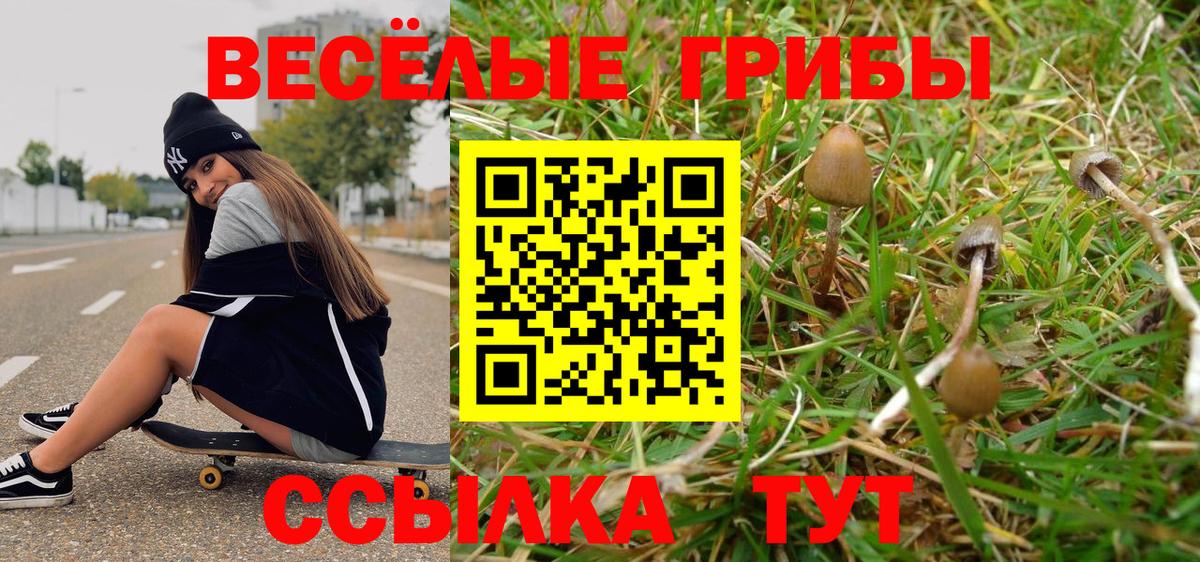 Псилоцибиновые грибы Magic Shrooms  Вход с VPN  продажа наркотиков  Усть-Кут 