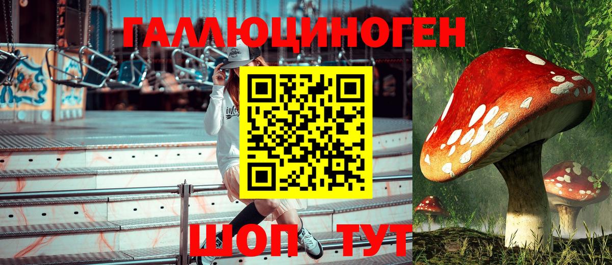 Псилоцибиновые грибы Psilocybe Усть-Кут